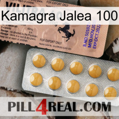 Kamagra Jelly 100 41